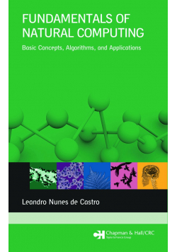 Fundamentals of Natural Computing