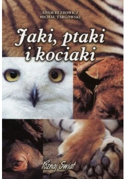 Jaki ptaki i kociaki