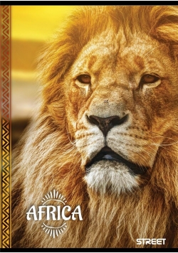 Zeszyt A6/40K Africa (10szt) STREET