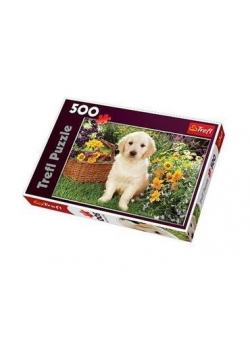 Puzzle 500 Labradorek w ogrodzie TREFL