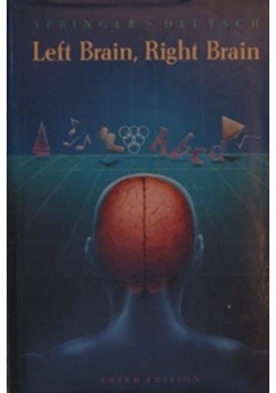 Left Brain Right Brain