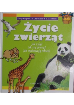 Życie zwierząt