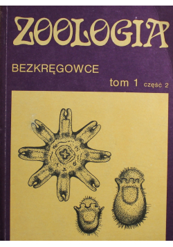 Zoologia Bezkręgowce  3 tomy