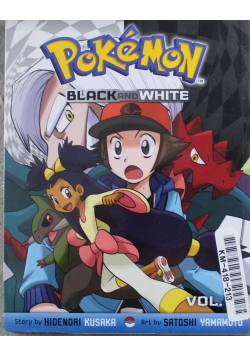 Pokemon Black and White