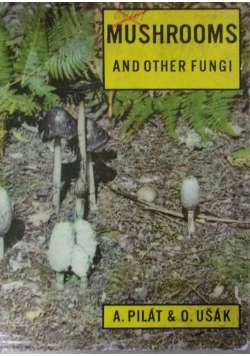 Mushrooms and other fungi