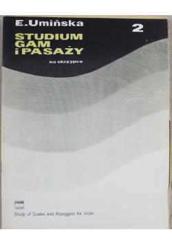 Studium gam i pasaży 2