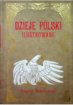 Dzieje Polski Ilustrowane