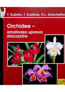 Orchidee amatorska uprawa storczyków