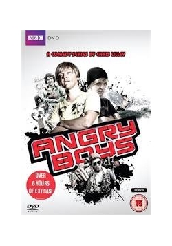 Angry Boys 3 DVD