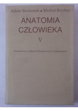 Anatomia człowieka V