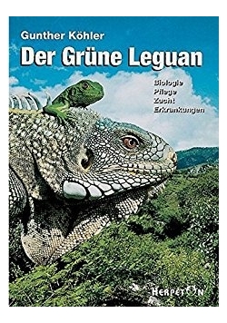 Der Grune Leguan