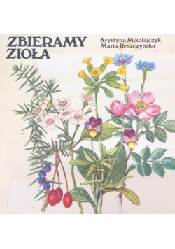 Zbieramy zioła