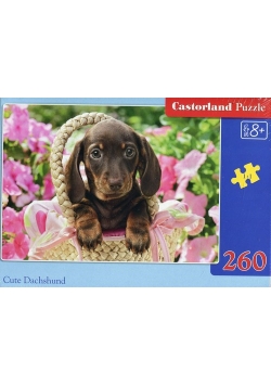 Puzzle 260 Cute Daschshund