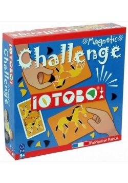 Zestaw familijiny - magnetyczna mozaika Challenge