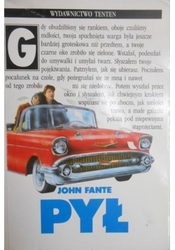 Pył