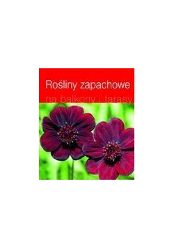Rośliny zapachowe na balkony i tarasy