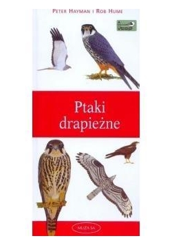 Ptaki drapieżne