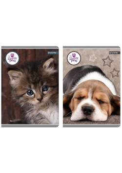 Zeszyt A5 w kratkę 80 kartek The Sweet Pets 5 sztuk mix