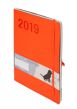 Kalendarz 2019 Minimalizm B5 pomarańczowy TNS Notes