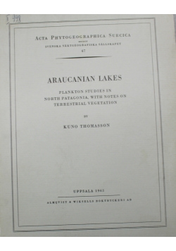 Araucanian Lakes