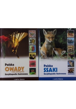 Polska Ssaki/Owady i inne bezkręgowce
