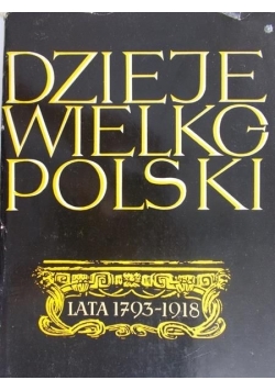 Dzieje Wielkopolski, Tom II