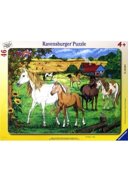 Puzzle ramkowe 46 Konie na padoku