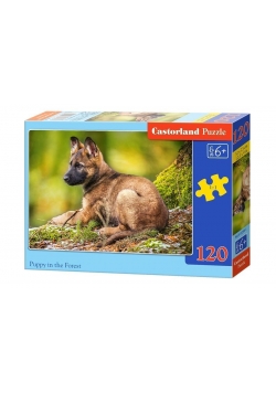 Puzzle 120 Szczeniak w lesie CASTOR