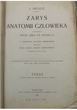Zarys anatomii człowieka Tekst 1916 r.