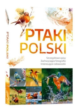 Ptaki Polski / SBM