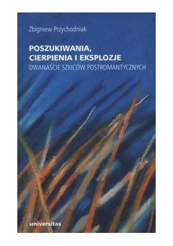 Poszukiwania, cierpienia i eksplozje