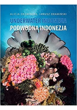 Underwater Indonesia Podwodna Indonezja