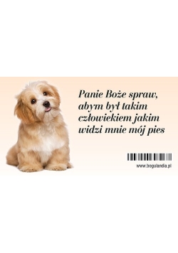 Magnes 2 na lodówkę Panie Boże spraw, abym był