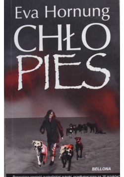 Chłopies