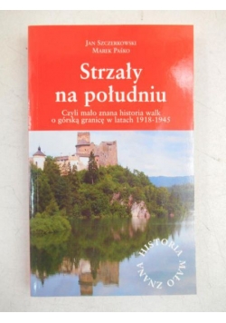 Strzały na południu