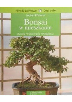 Bonsai w mieszkaniu