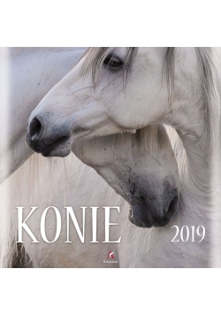 Kalendarz 2019 ścienny kwadrat Konie