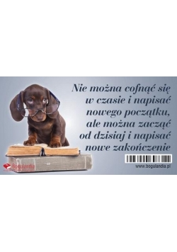 Magnes na lodówkę Nie można cofnąć się w czasie