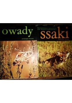 Owady / Ssaki