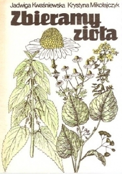 Zbieramy zioła