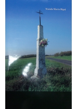 Odsłony