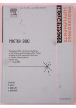 Photon 2003. Proceedings Supplements. Nuclear Physics B, No. 126 (2004)