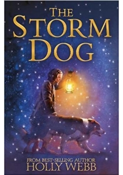 The storm dog
