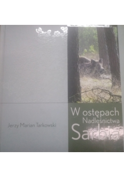 W ostępach Nadleśnictwa Sarbia