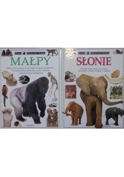 Patrzę, podziwiam, poznaję. Słonie/Małpy