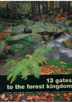 13 gates to the forest kingdom