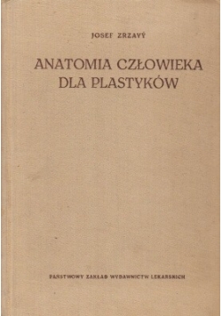 Anatomia człowieka dla plastyków