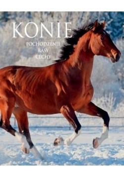 Konie. Pochodzenie. Rasy. Cechy