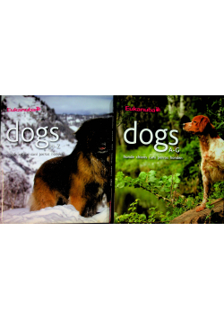 Dogs 2 tomy