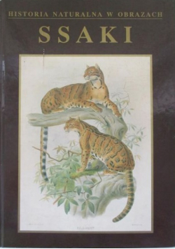 Ssaki